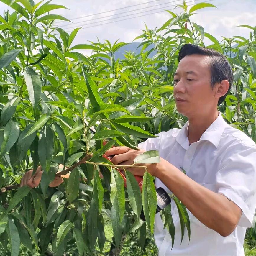 80后村支书冯旭