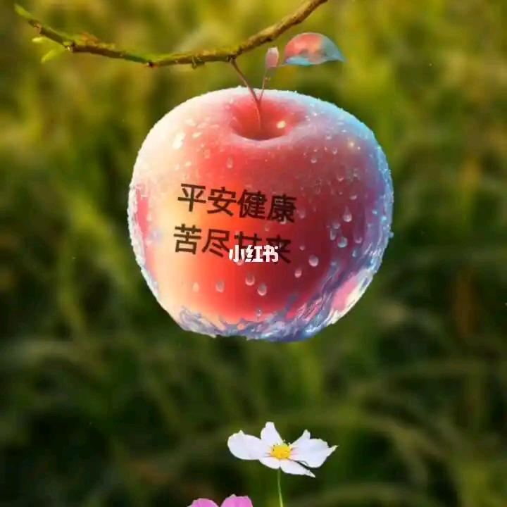 桐桐爸