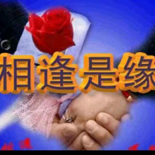 青岛田园风光7916