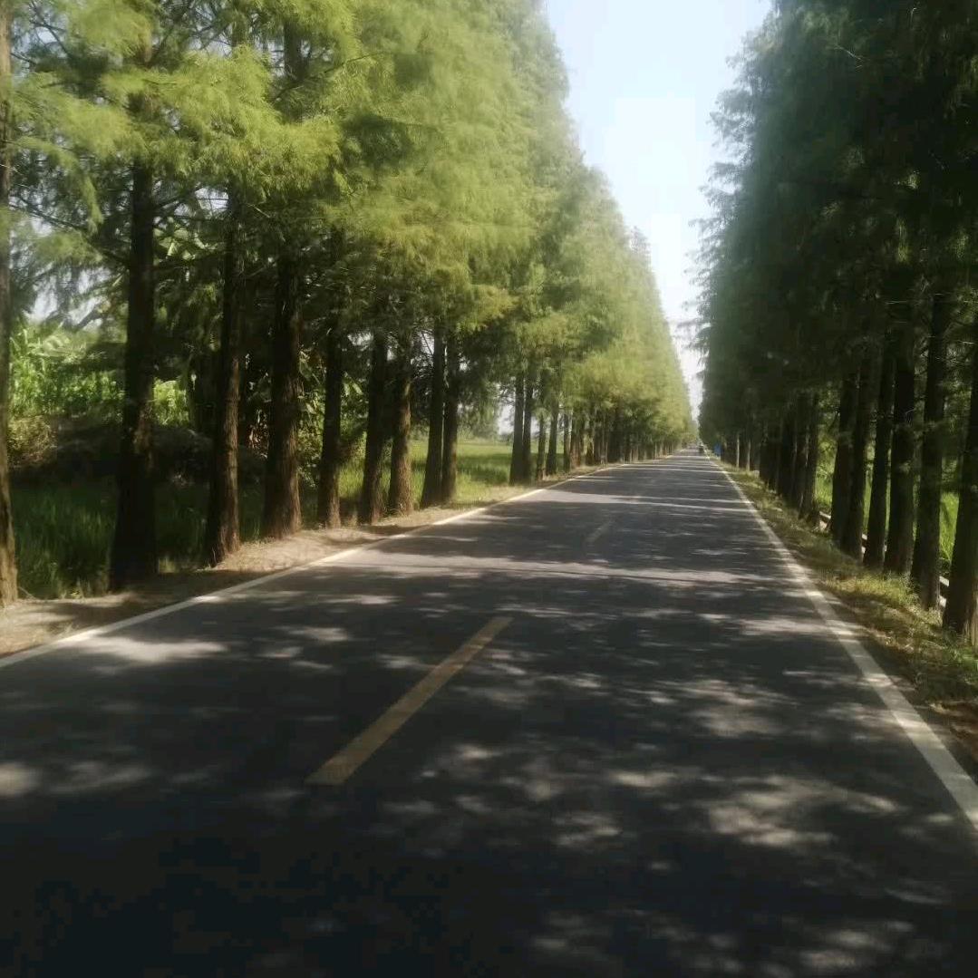 张宗汉