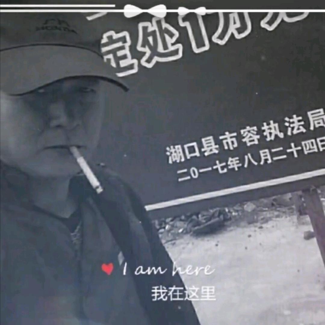 雁北飞