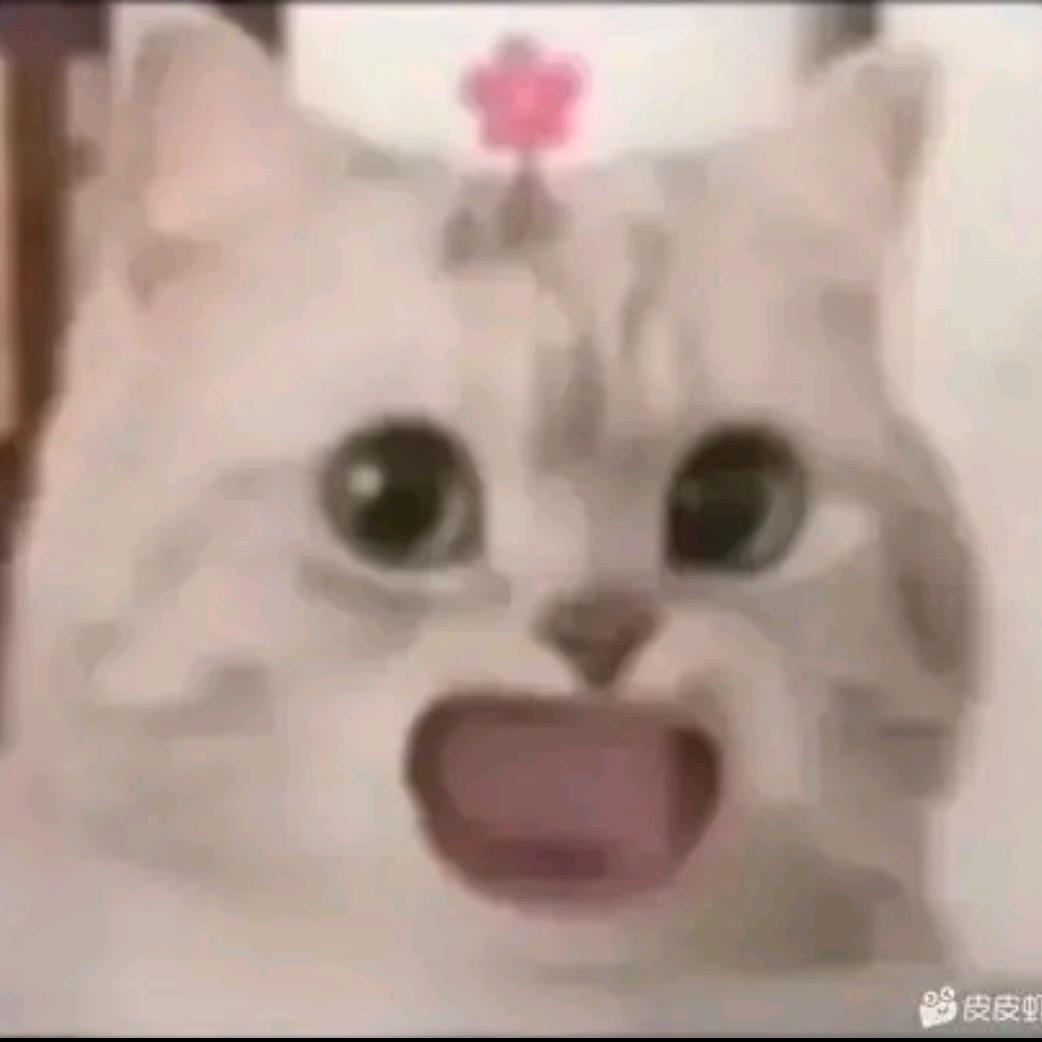 变成超级大糕手