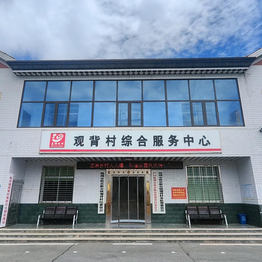 新市镇观背村团队(罗同学)