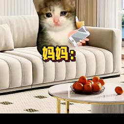 猫meme