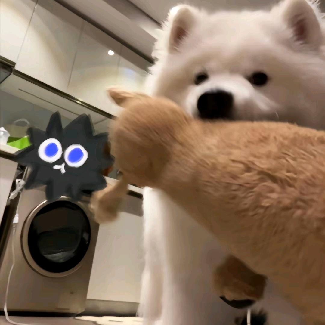 我要去吃烧鸭饭