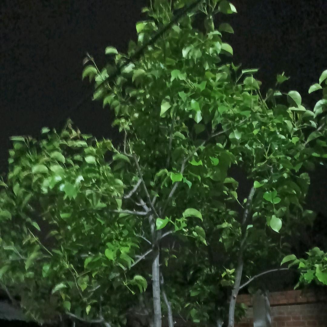 阳光