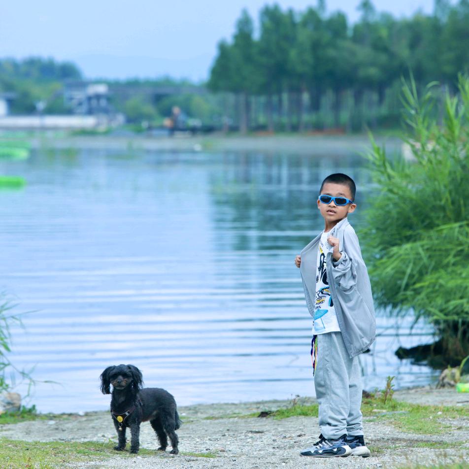 黄粱一梦二十年