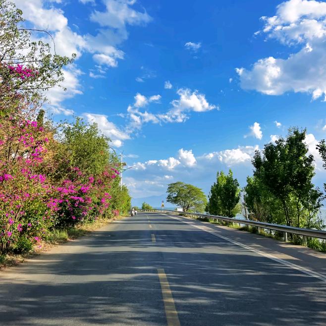 欧琦爱旅行🚗