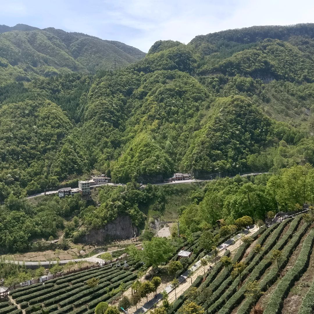 古月，胡