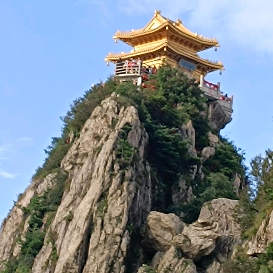 金一