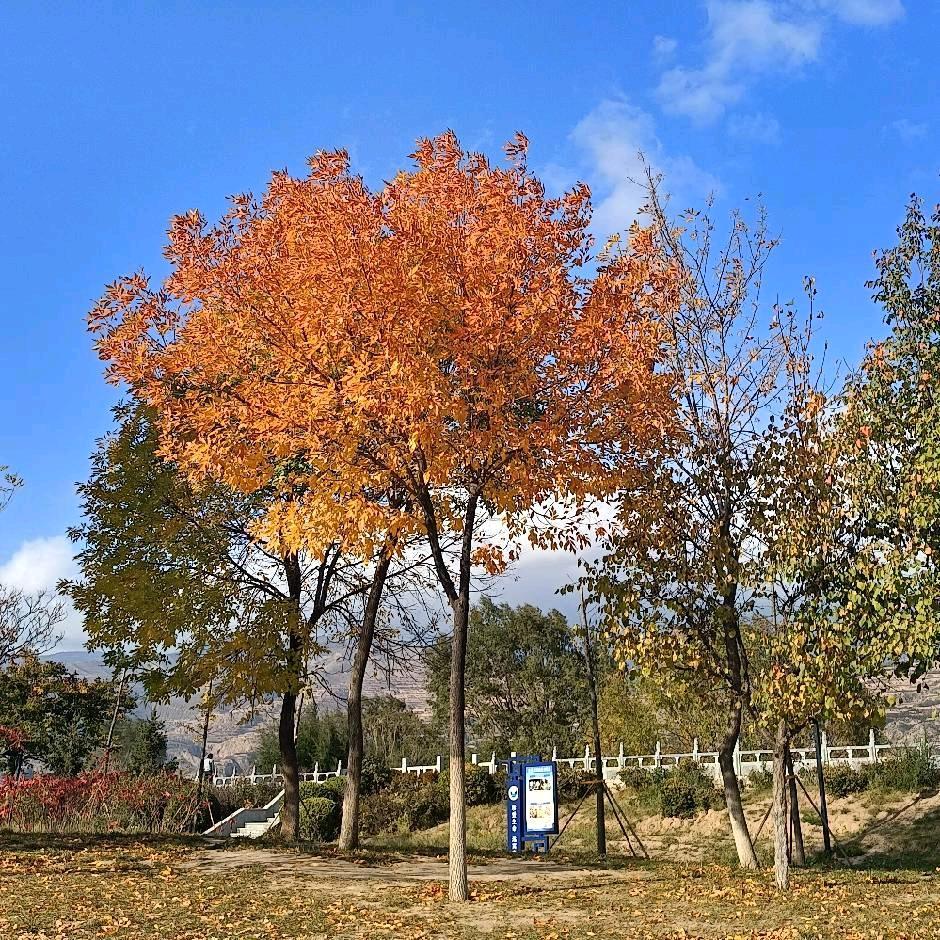 把时间都给了想你