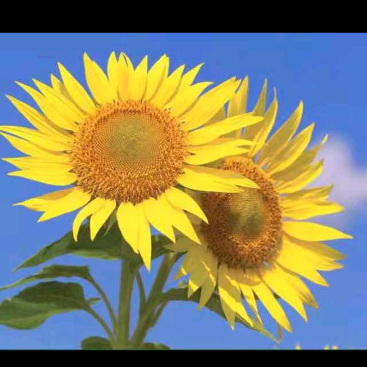 放下一切，努力前行