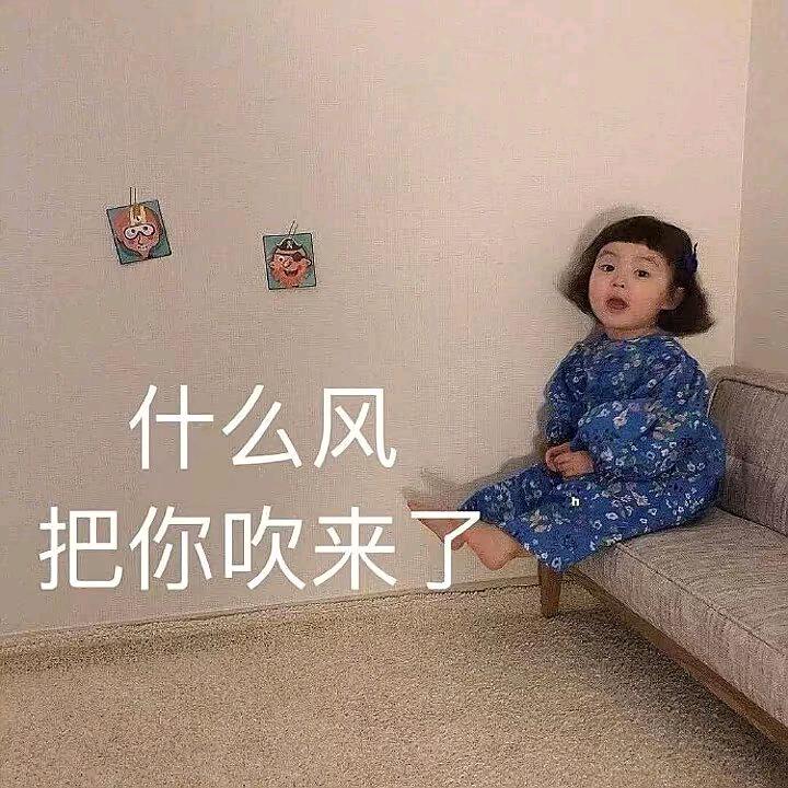 荷花🪷