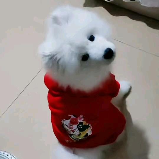 曾经的回忆