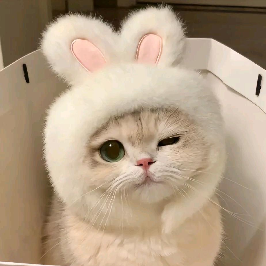 欣欣好物❤️