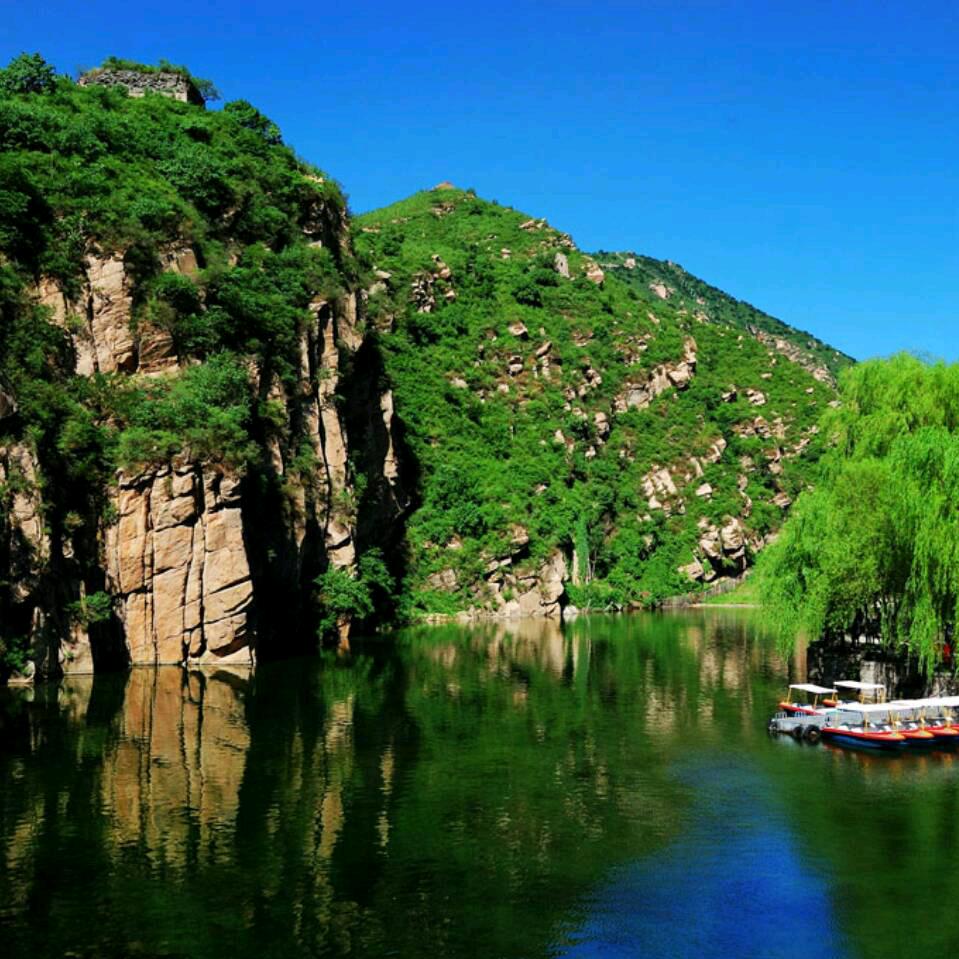 万年春