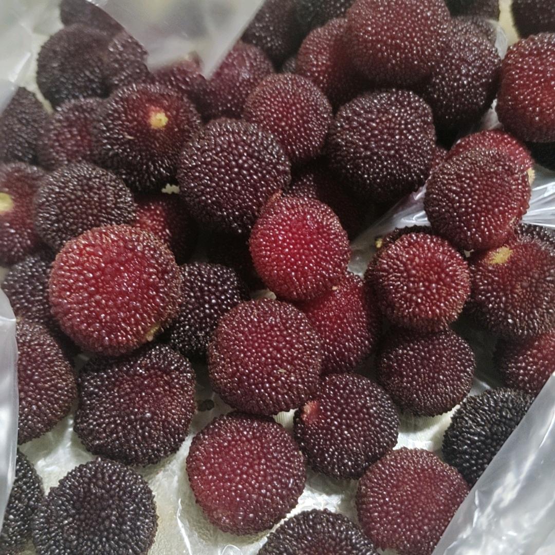 ⭐️⭐️的夜晚