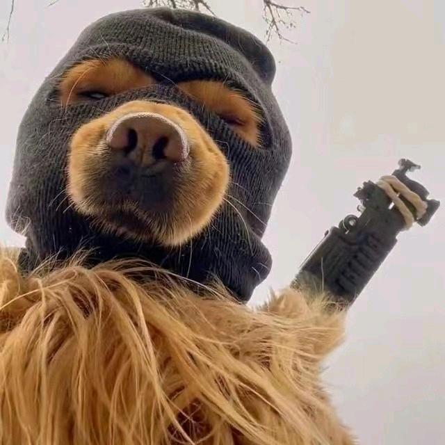 老狗_