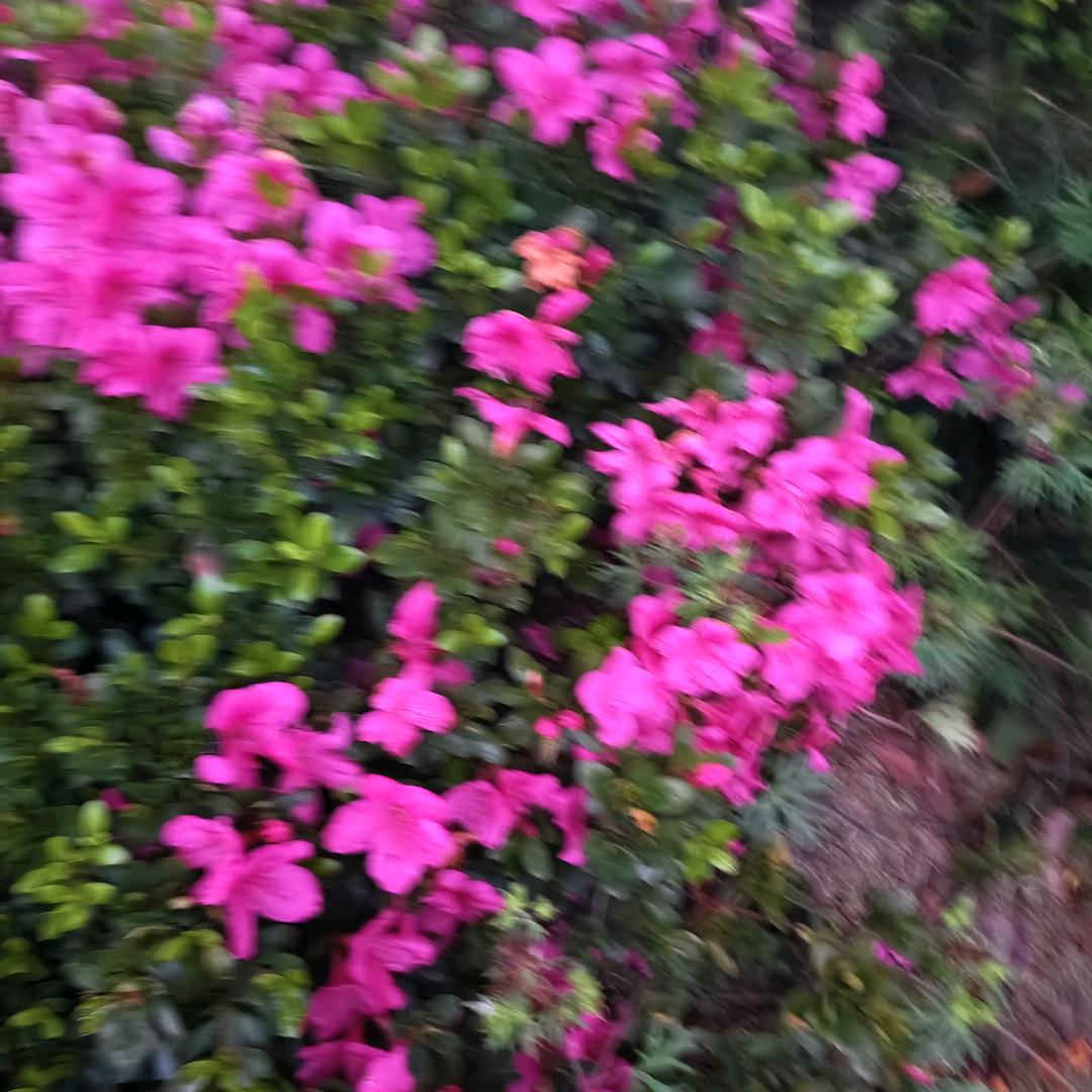 满心欢喜