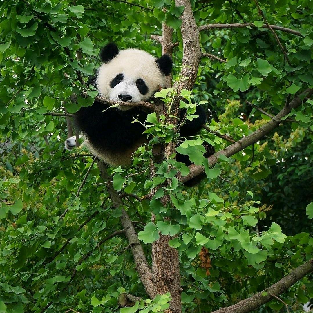 和你一起慢慢变富