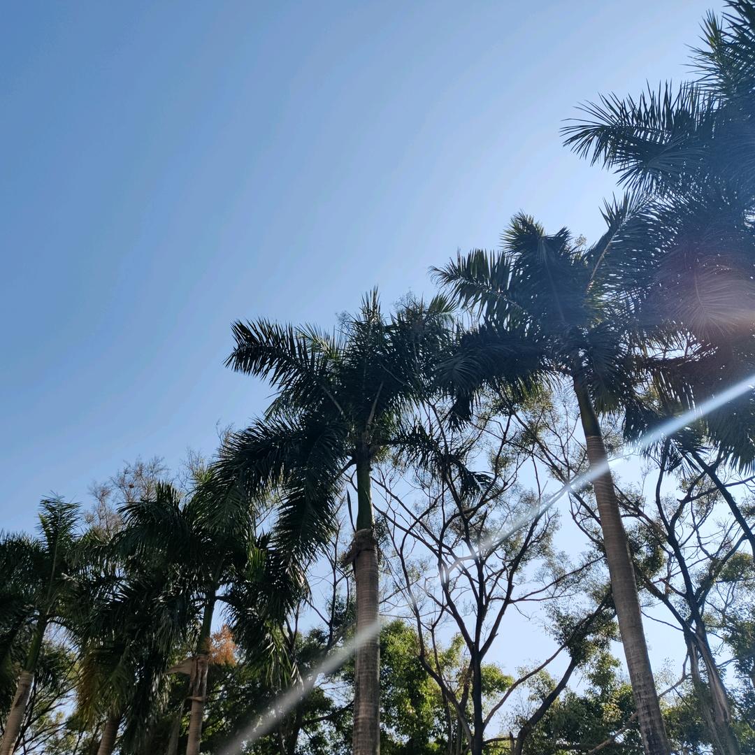 没有名字的冬天