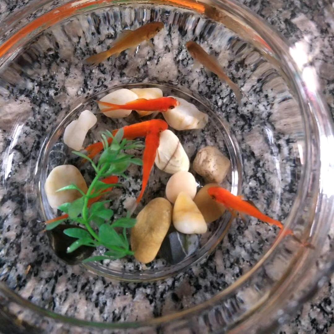 风轻云淡