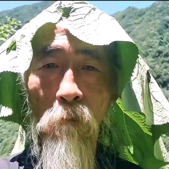 Nik