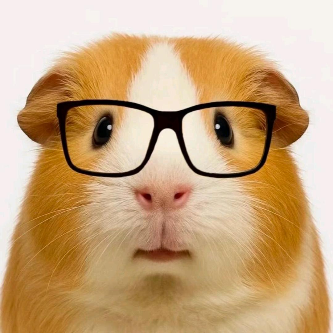 世界第一的小酒窝大人