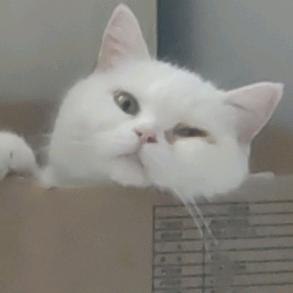 红星点亮