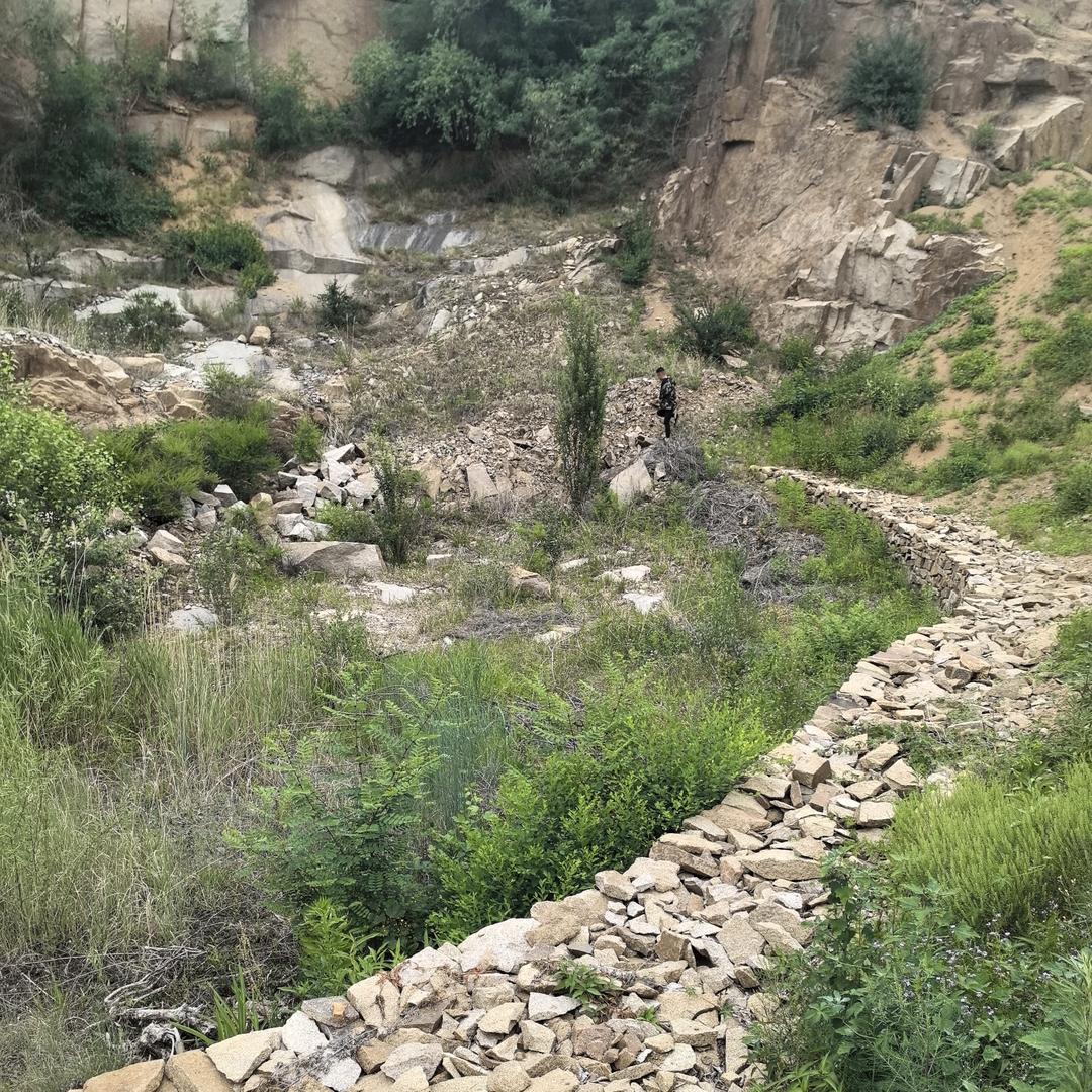 大壮⛰️(大山之情)