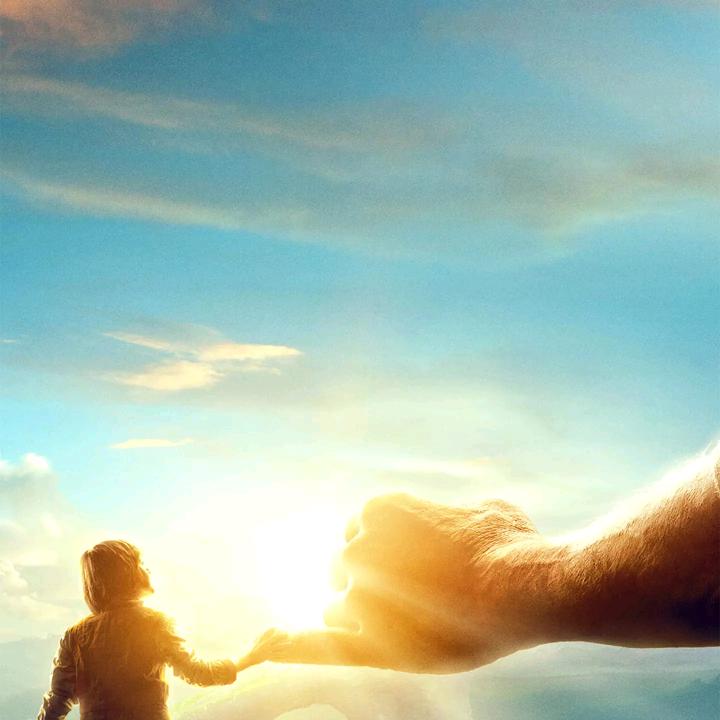 兰姐余生好好的爰自己