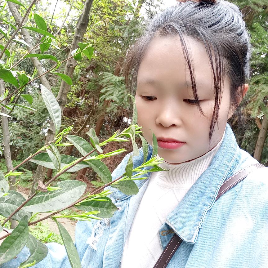 三宝妈日常