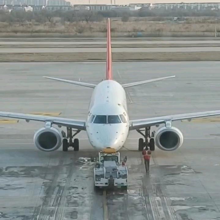 老五头像