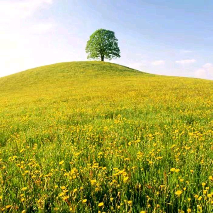 我在天堂挖土豆