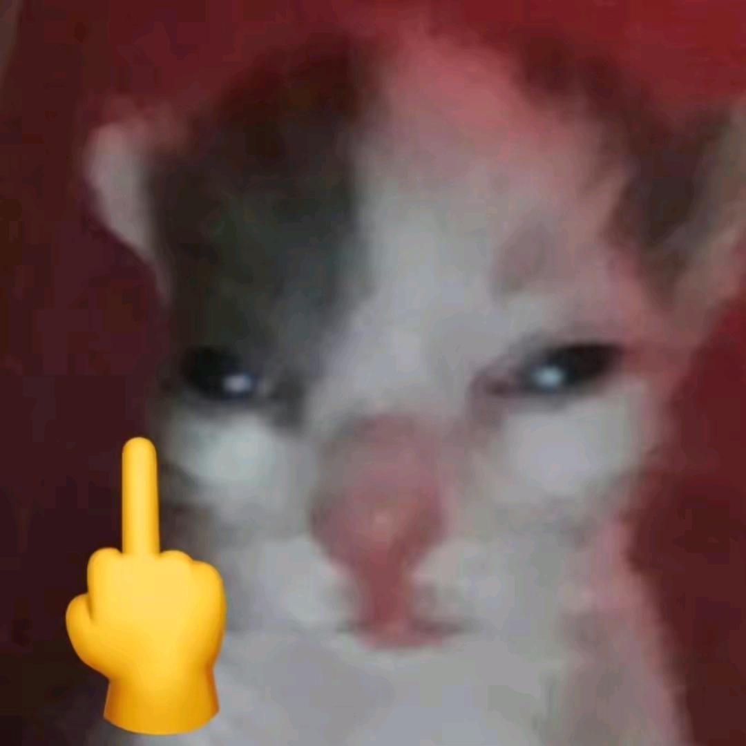 丁哈哈               🪳