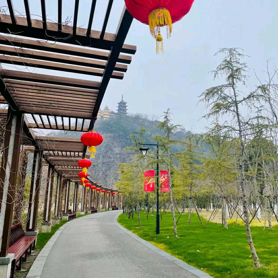 忘忧草.