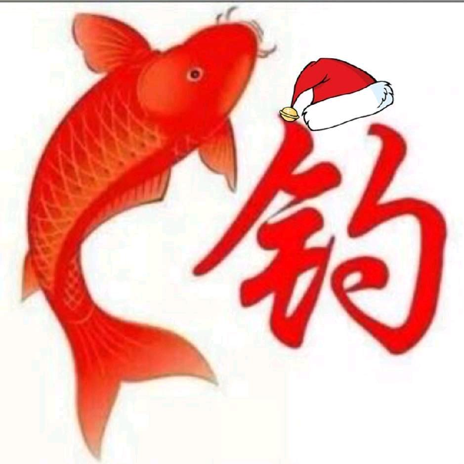 🇨🇳施先生🇨🇳（猫猫）