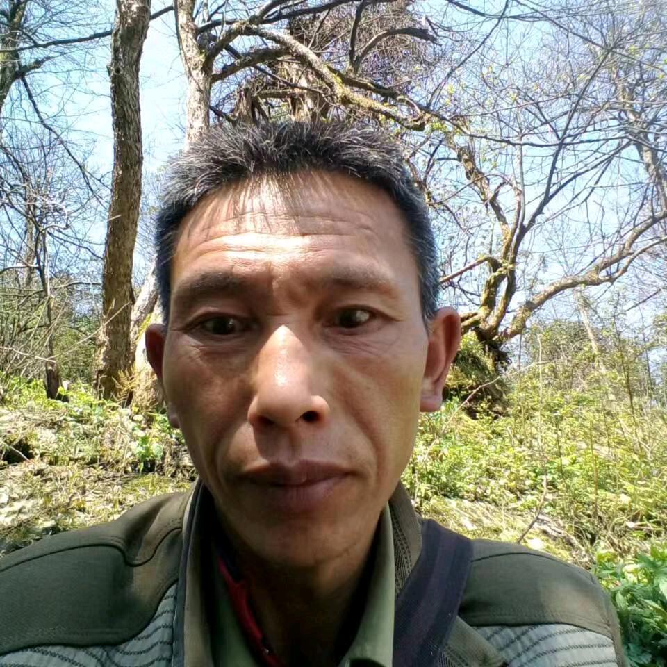 ＇🌹点石成金❤️