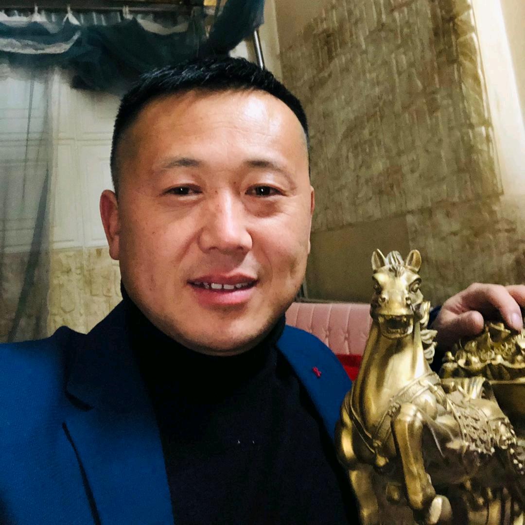 宗淡定