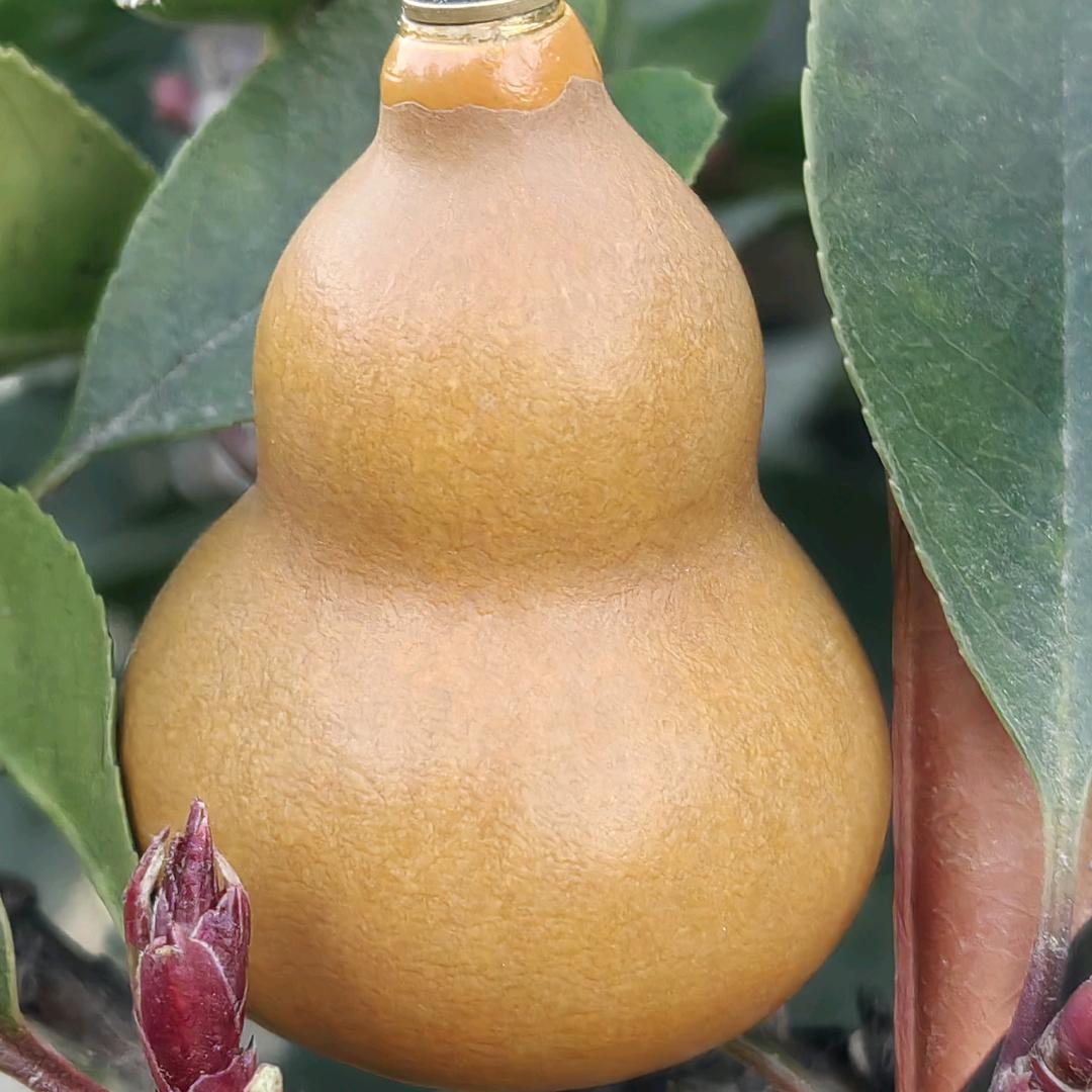 感恩有您