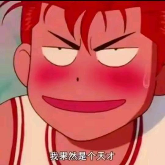 舟舟