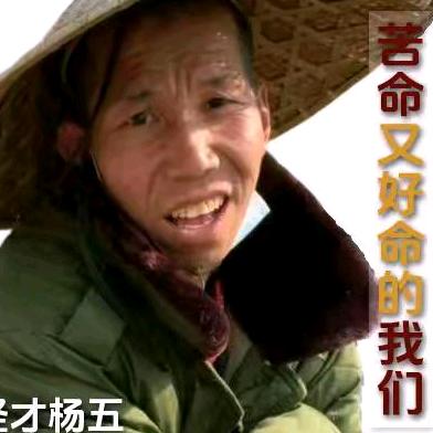 怪才杨五（领取手机）