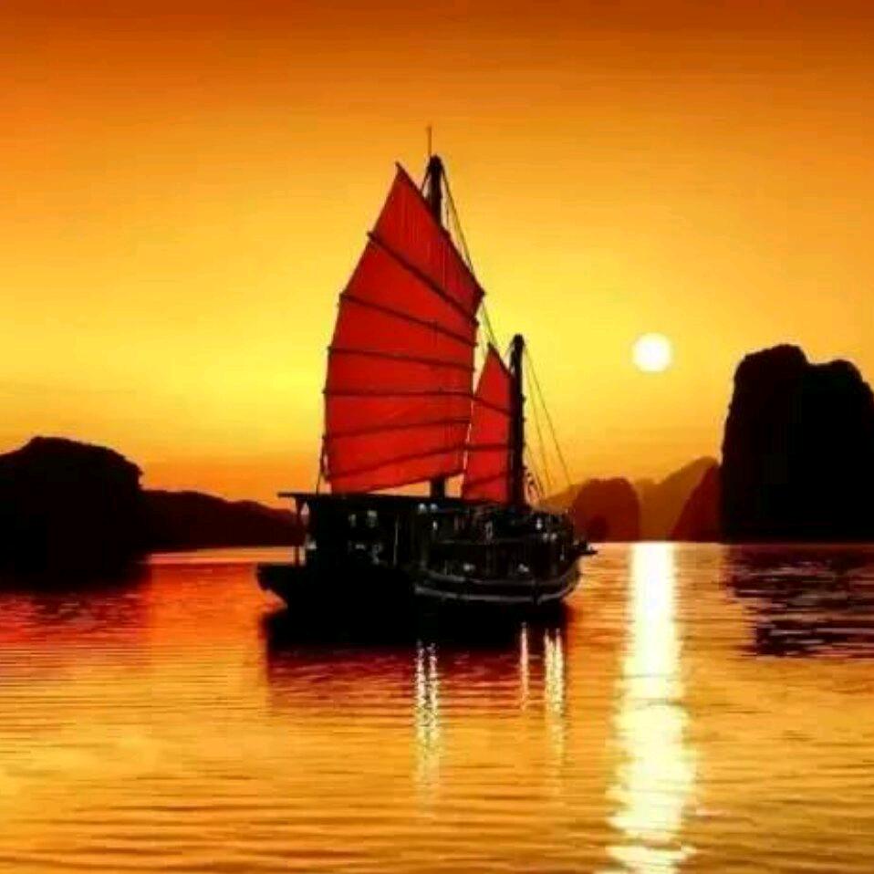 🙏平安快乐☀️☀️