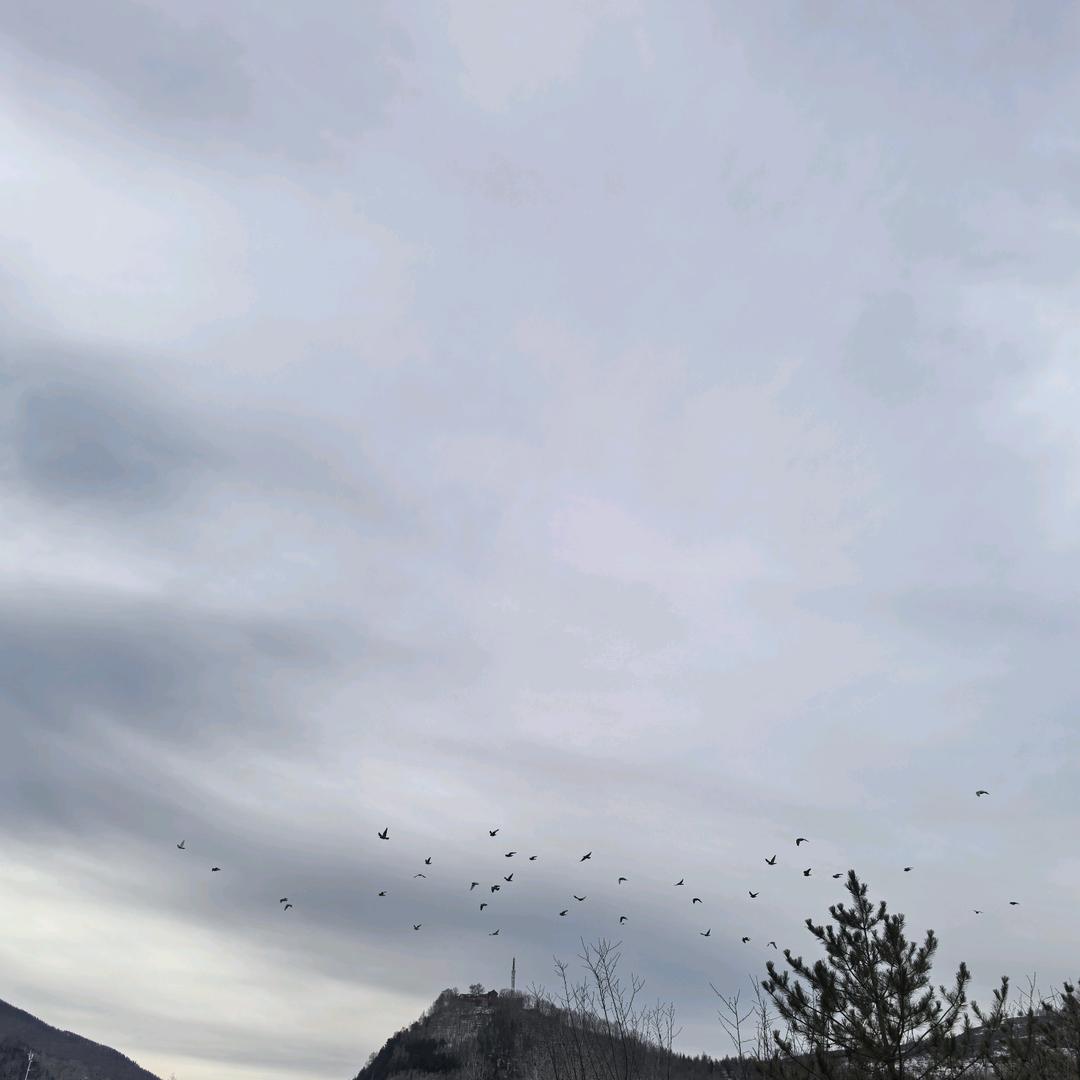 鸿北臻选阁