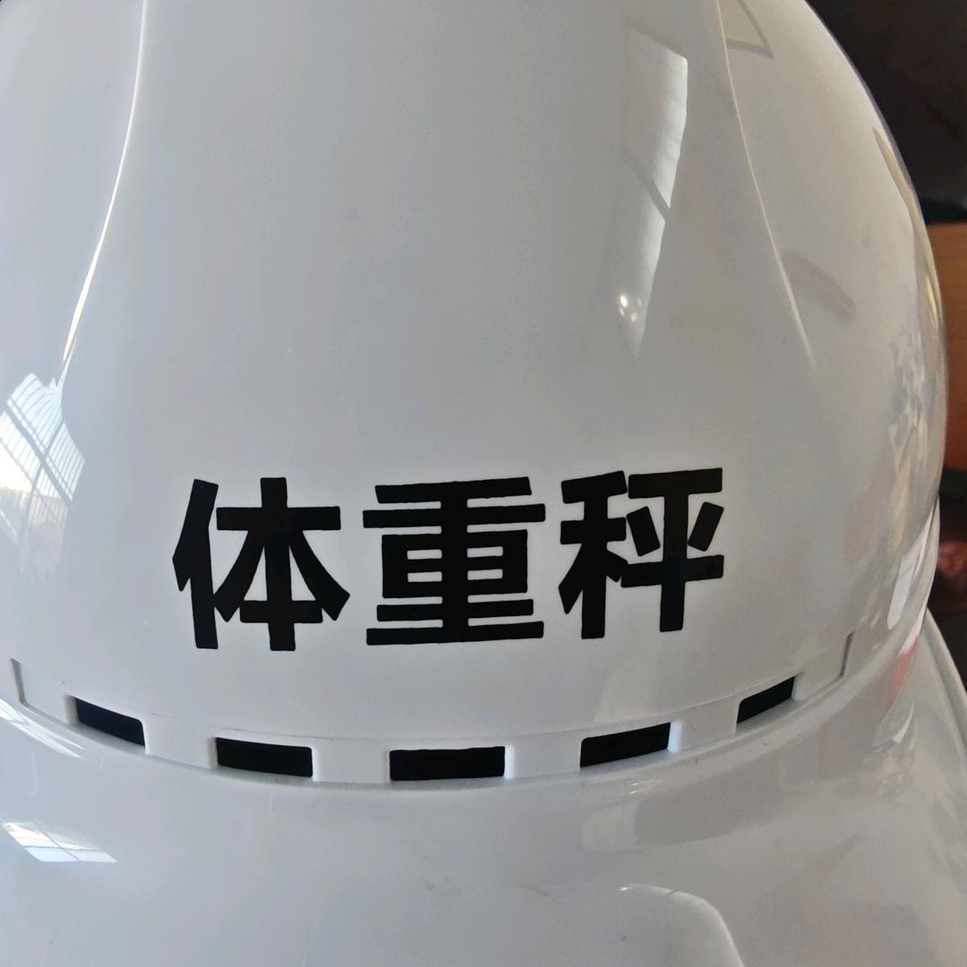 人体秤  ～ 老驴的前半生