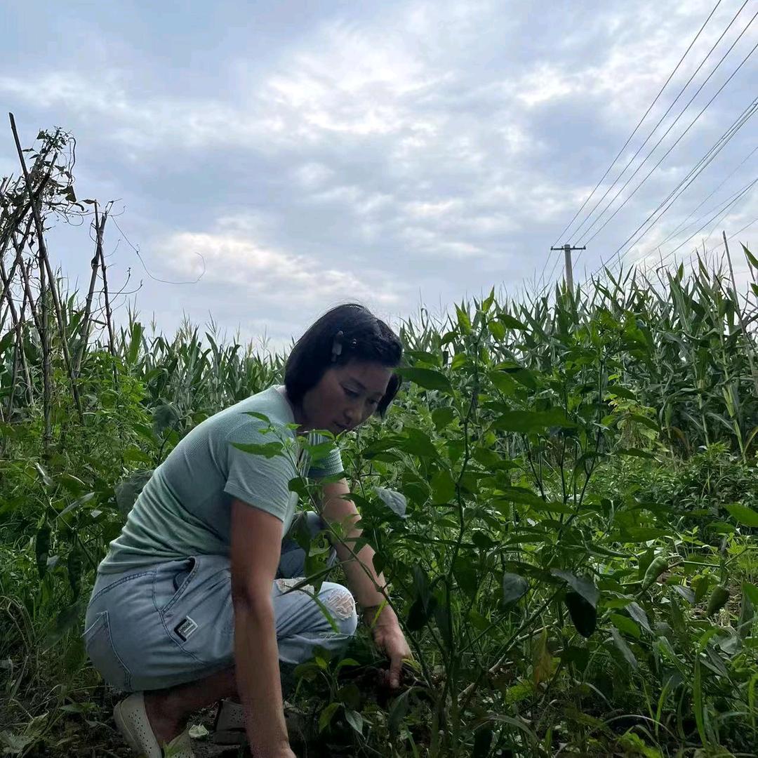 爱姐（8元理发）