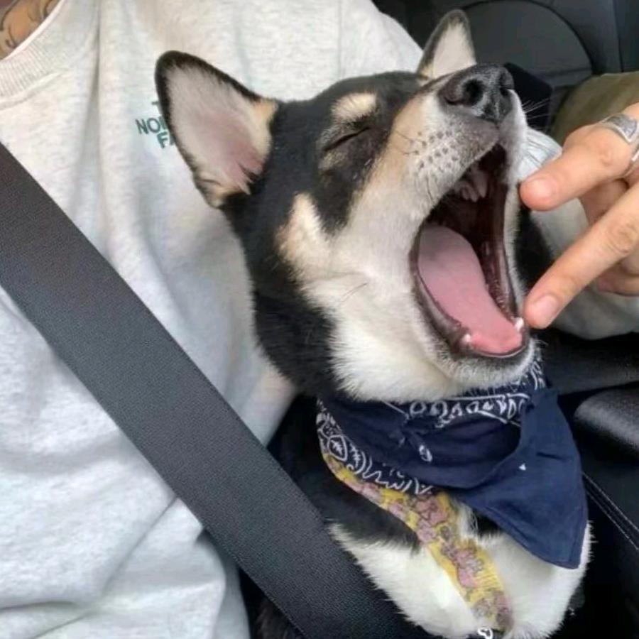 淇淇甄选好物的头像