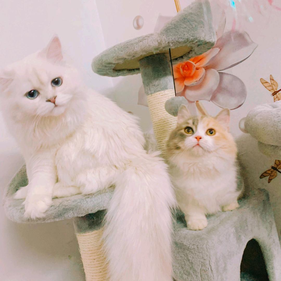 🌈🌈🌈9️⃣0️⃣️6️⃣