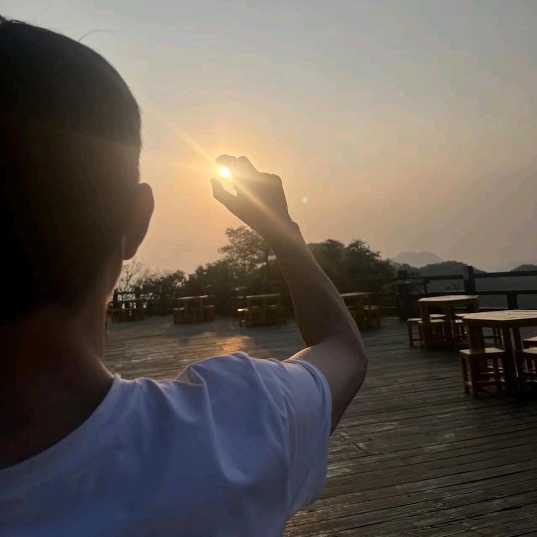 木易楊