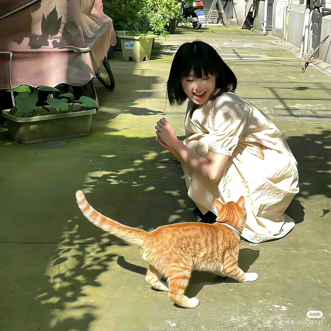 小小梅